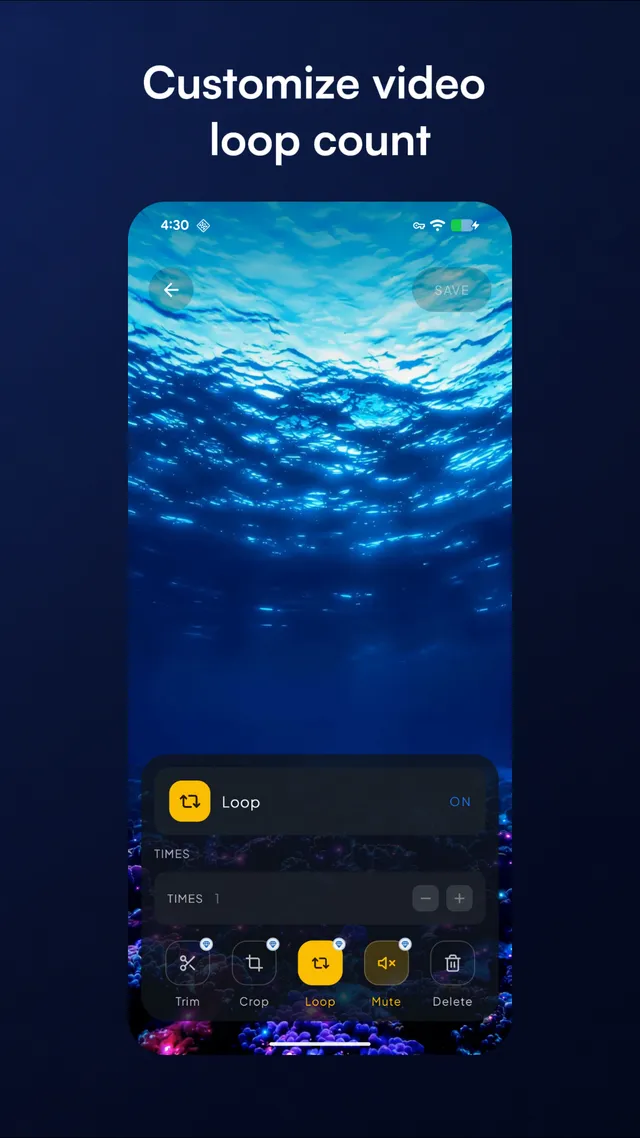 Video loop settings with an adjustable loop count.